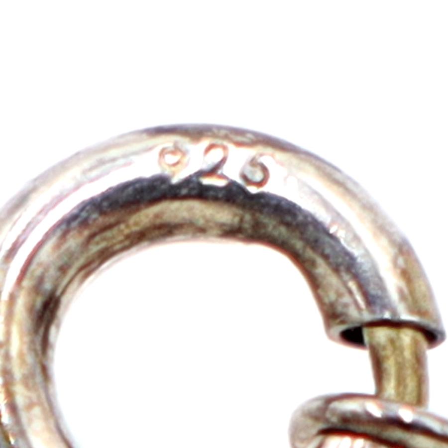 ティファニー(TIFFANY & Co) ペンギンネックレス　SV925(シルバー)　重さ4.24g　レディース(中古)